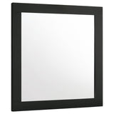 Caraway Black Dresser Mirror (Mirror Only) from Coaster - Luna Furniture