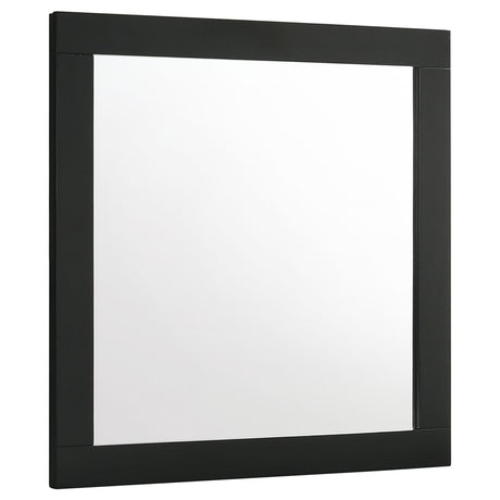 Caraway Black Dresser Mirror (Mirror Only) from Coaster - Luna Furniture