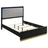 Caraway Black and Gray Queen Bed with LED Headboard from Coaster - Luna Furniture