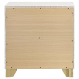 Caraway White 2-Drawer Nightstand from Coaster - Luna Furniture