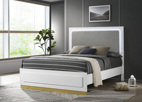 Caraway White and Gray Queen Bed with LED Headboard from Coaster - Luna Furniture