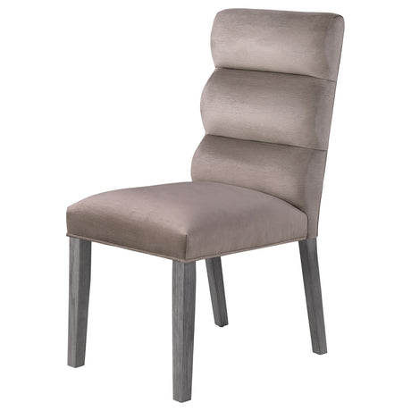 Carla Stone Upholstered Dining Side Chair, Set of 2 from Coaster - Luna Furniture
