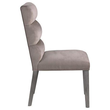 Carla Stone Upholstered Dining Side Chair, Set of 2 from Coaster - Luna Furniture