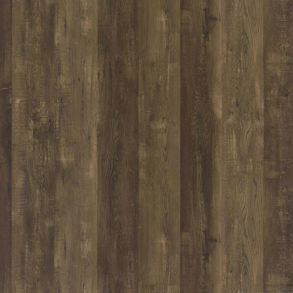 Carolyn Rustic Oak and Gunmetal 2-Door Accent Cabinet from Coaster - Luna Furniture
