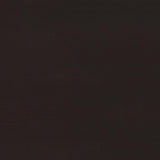 Casey Cappuccino 2-Drawer Rectangular TV Console from Coaster - Luna Furniture