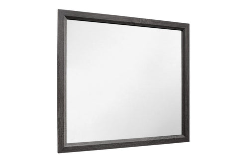 Davi Gray Mirror (Mirror Only) from Homelegance - Luna Furniture