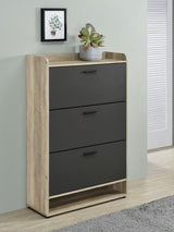 Denia Antique Pine and Gray 3-Tier Shoe Storage Cabinet from Coaster - Luna Furniture