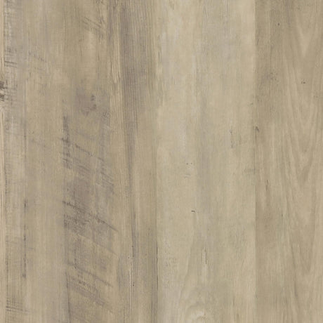 Denia Antique Pine and Gray 3-Tier Shoe Storage Cabinet from Coaster - Luna Furniture