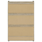 Denia Antique Pine and White 3-Tier Shoe Storage Cabinet from Coaster - Luna Furniture