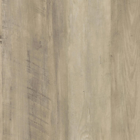 Denia Antique Pine and White 3-Tier Shoe Storage Cabinet from Coaster - Luna Furniture