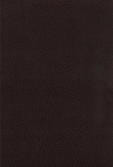 Dewey Walnut and Brown Upholstered Counter Height Chairs with Footrest, Set of 2 from Coaster - Luna Furniture