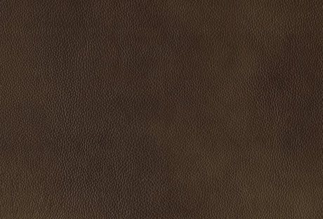 Ellicott Brown Leather Double Reclining Living Room Set from Homelegance - Luna Furniture