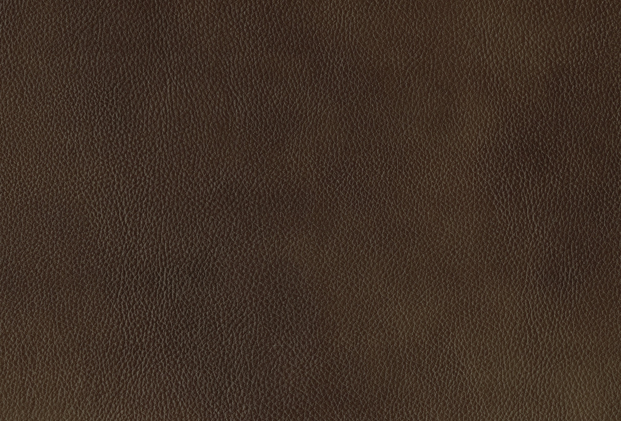 Ellicott Brown Leather Double Reclining Sofa from Homelegance - Luna Furniture