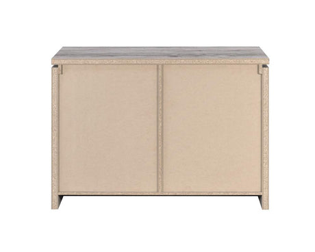 Enoch Gray Driftwood 2-Door Accent Cabinet from Coaster - Luna Furniture