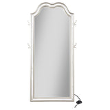 Evangeline Silver Oak Full Length LED Floor Mirror from Coaster - Luna Furniture