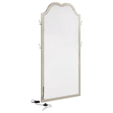 Evangeline Silver Oak Full Length LED Floor Mirror from Coaster - Luna Furniture