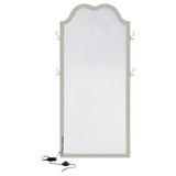 Evangeline Silver Oak Full Length LED Floor Mirror from Coaster - Luna Furniture
