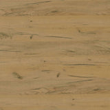 Fanning Golden Oak and Black Lift Top Storage Coffee Table from Coaster - Luna Furniture