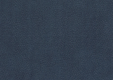 Ferriday Blue Chair with Pull-out Ottoman from Homelegance - Luna Furniture