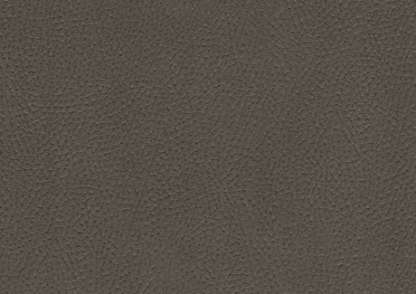 Ferriday Taupe Chair with Pull-out Ottoman from Homelegance - Luna Furniture