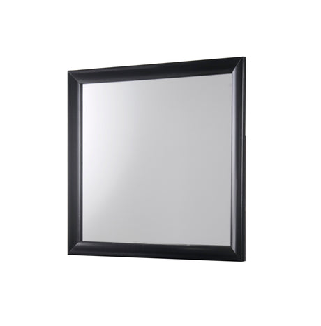Galinda Black Bedroom Mirror (Mirror Only) from Crown Mark - Luna Furniture