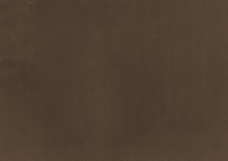 Garrell Brown Velvet Lift Top Storage Bench with Pull-out Bed from Homelegance - Luna Furniture