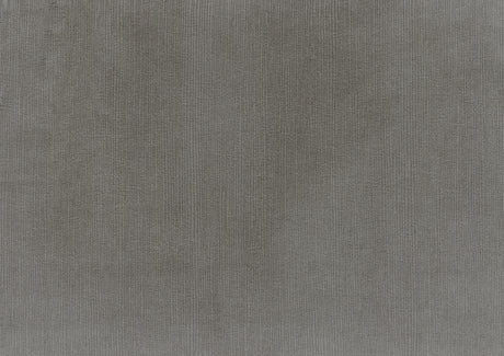 Garrell Brownish Gray Velvet Lift Top Storage Bench with Pull-out Bed from Homelegance - Luna Furniture