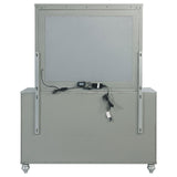 Gunnison Silver Metallic 6-Drawer Dresser with Mirror from Coaster - Luna Furniture