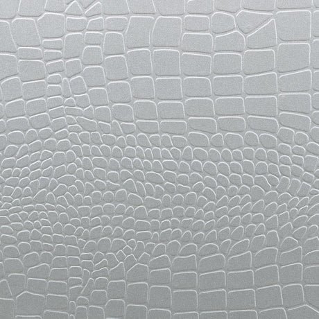 Gunnison Silver Metallic 6-Drawer Dresser with Mirror from Coaster - Luna Furniture