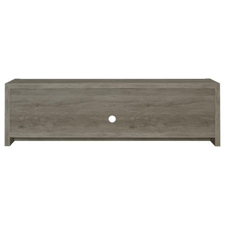 Hays Gray Driftwood 2-Door TV Console from Coaster - Luna Furniture