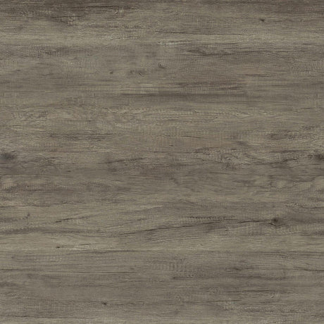 Hays Gray Driftwood 2-Door TV Console from Coaster - Luna Furniture