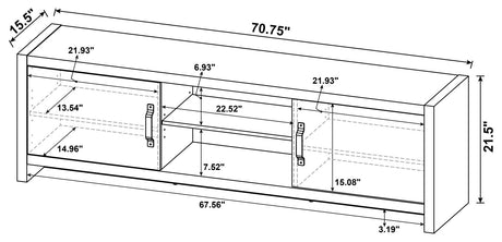 Hays Gray Driftwood 2-Door TV Console from Coaster - Luna Furniture