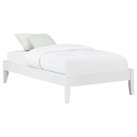 Hounslow White Twin Platform Bed from Coaster - Luna Furniture