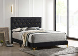 Kendall Black and Gold Tufted Panel Eastern King Bed from Coaster - Luna Furniture