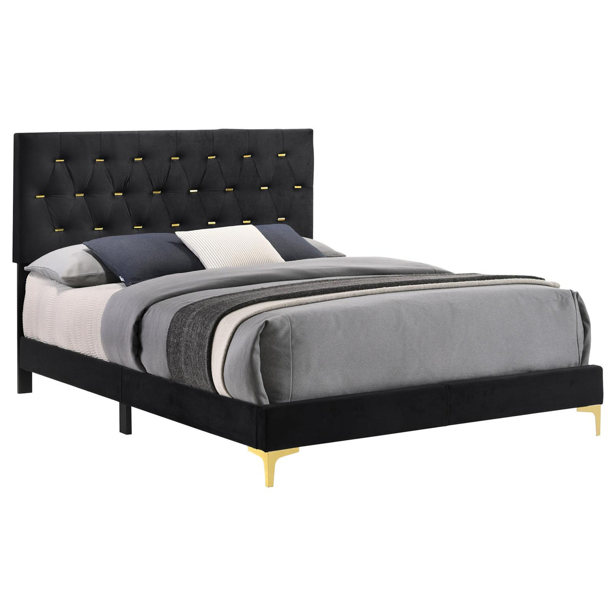 Kendall Black and Gold Tufted Panel Queen Bed from Coaster - Luna Furniture