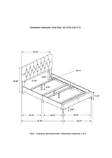 Kendall Black and Gold Tufted Panel Queen Bed from Coaster - Luna Furniture