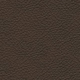 Leesworth Dark Brown Power Reclining Sofa from Ashley - Luna Furniture