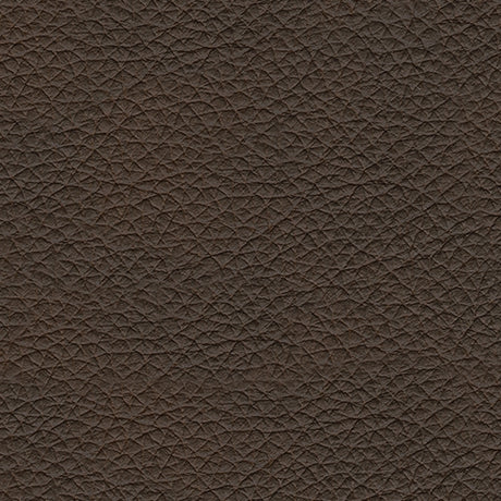 Leesworth Dark Brown Power Reclining Sofa from Ashley - Luna Furniture