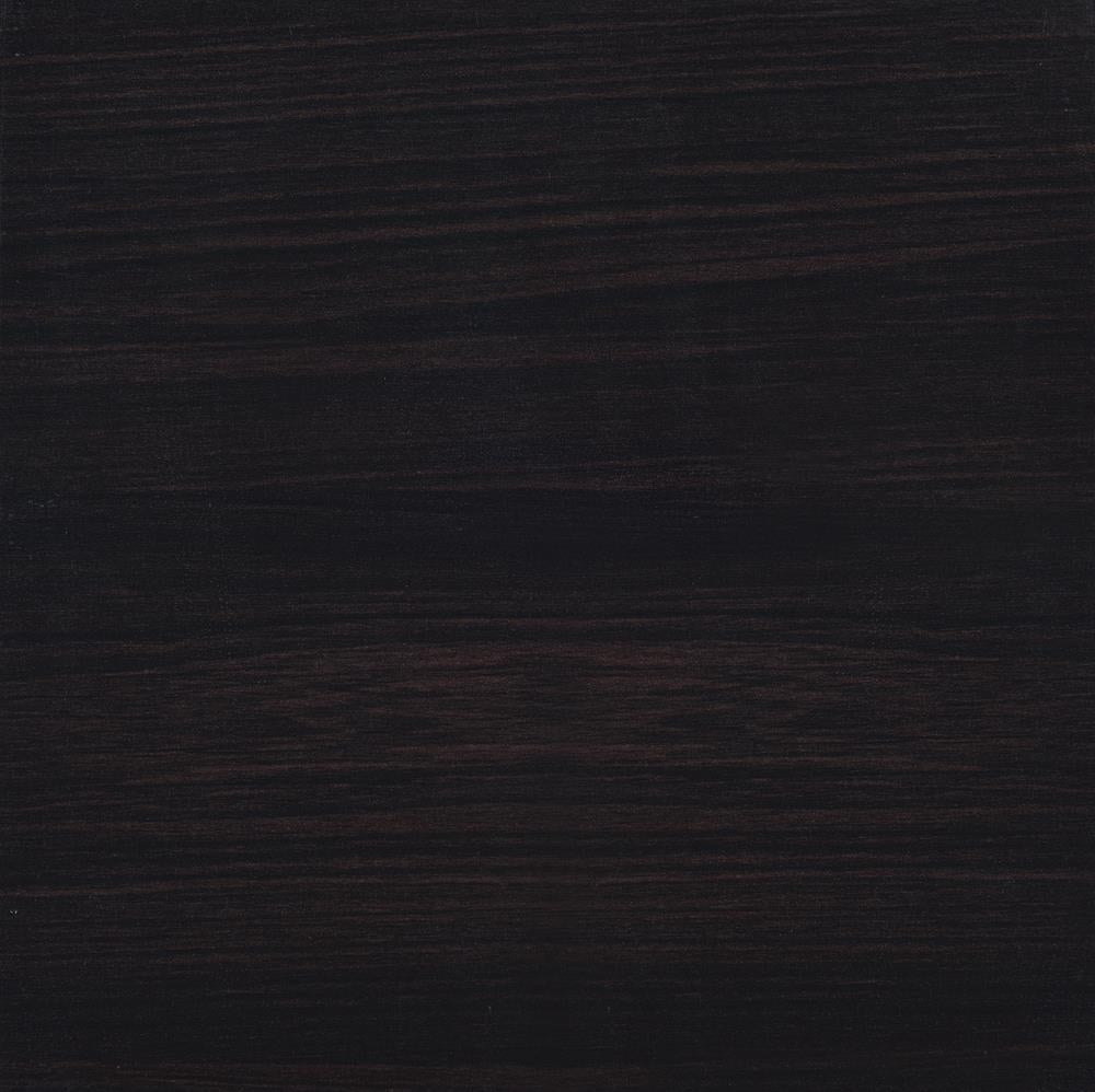 Lewes Cappuccino 2-Door TV Stand with Adjustable Shelves from Coaster - Luna Furniture