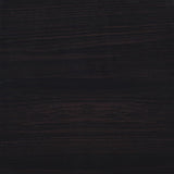 Lewes Cappuccino 2-Door TV Stand with Adjustable Shelves from Coaster - Luna Furniture