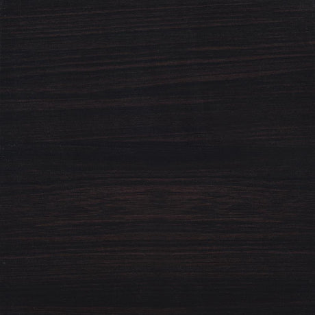 Lewes Cappuccino 2-Door TV Stand with Adjustable Shelves from Coaster - Luna Furniture