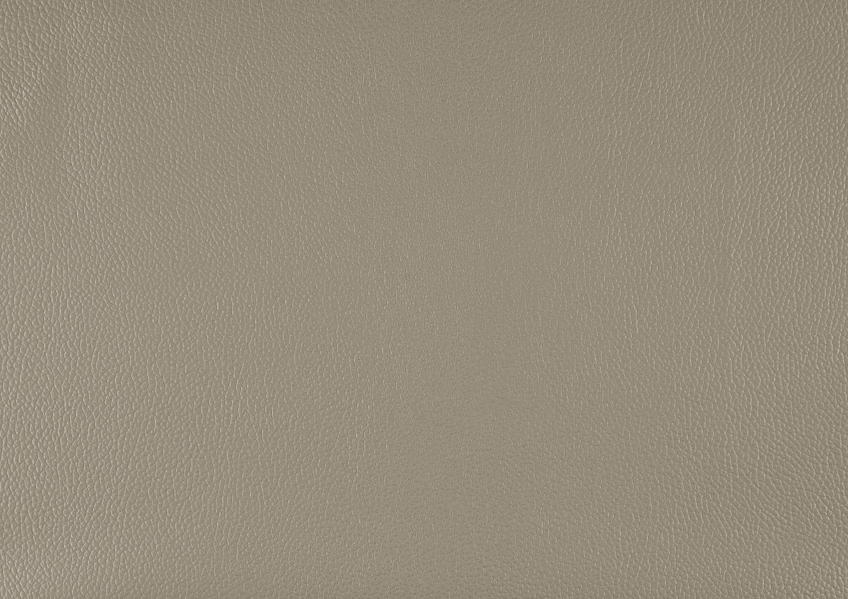 Lewes Latte Leather Living Room Set from Homelegance - Luna Furniture