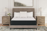 Limited Edition Plush White Twin Mattress from Ashley - Luna Furniture