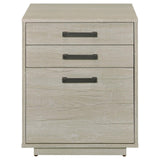 Loomis Whitewashed Gray 3-Drawer Square File Cabinet from Coaster - Luna Furniture