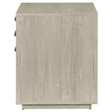 Loomis Whitewashed Gray 3-Drawer Square File Cabinet from Coaster - Luna Furniture