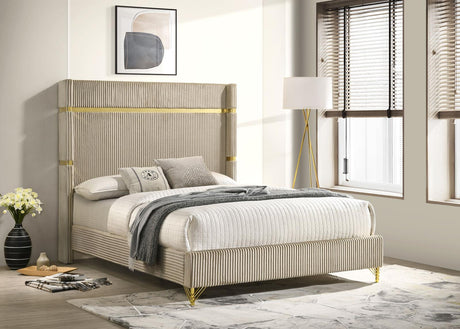 Lucia Beige Upholstered Queen Wingback Panel Bed from Coaster - Luna Furniture