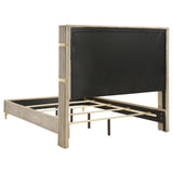 Lucia Beige Upholstered Queen Wingback Panel Bed from Coaster - Luna Furniture
