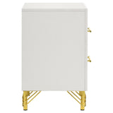 Lucia White 2-Drawer Nightstand from Coaster - Luna Furniture