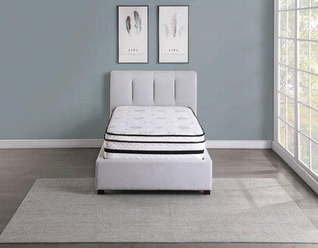 MT-PH12T 12" Twin Hybrid Mattress from Homelegance - Luna Furniture