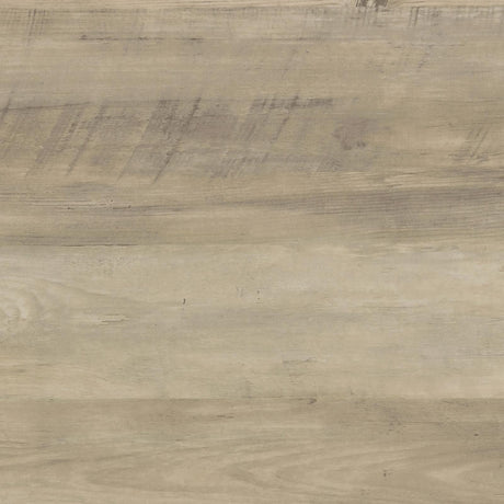 Madra Rectangular TV Console with 2 Sliding Doors from Coaster - Luna Furniture